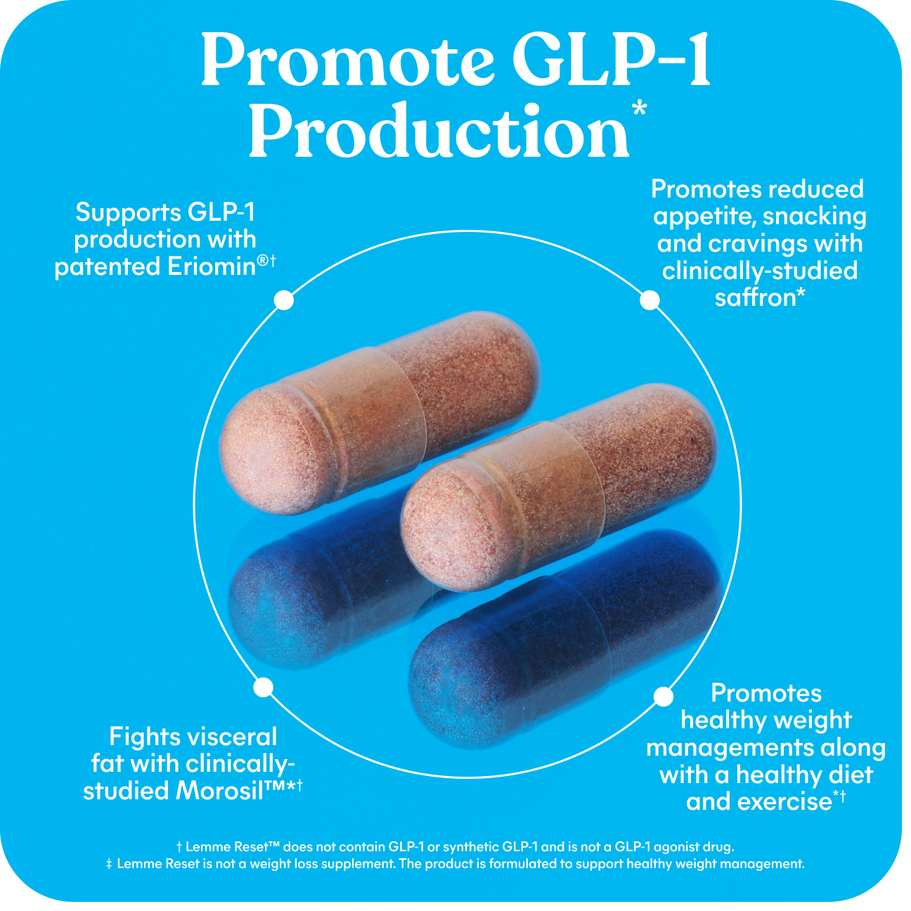 Lemme GLP-1 Production Gummies
