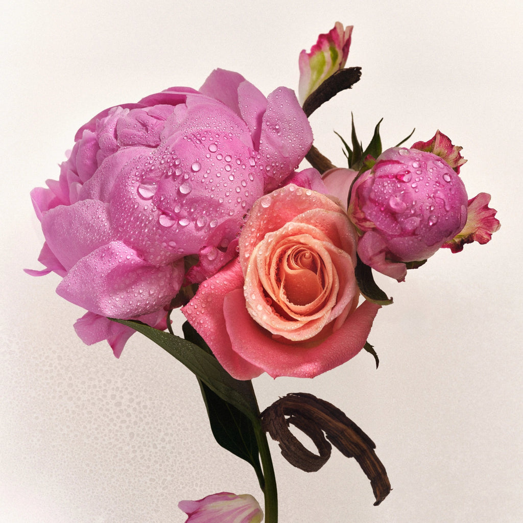 Athena Club Hair & Body Mist - Petal Bloom