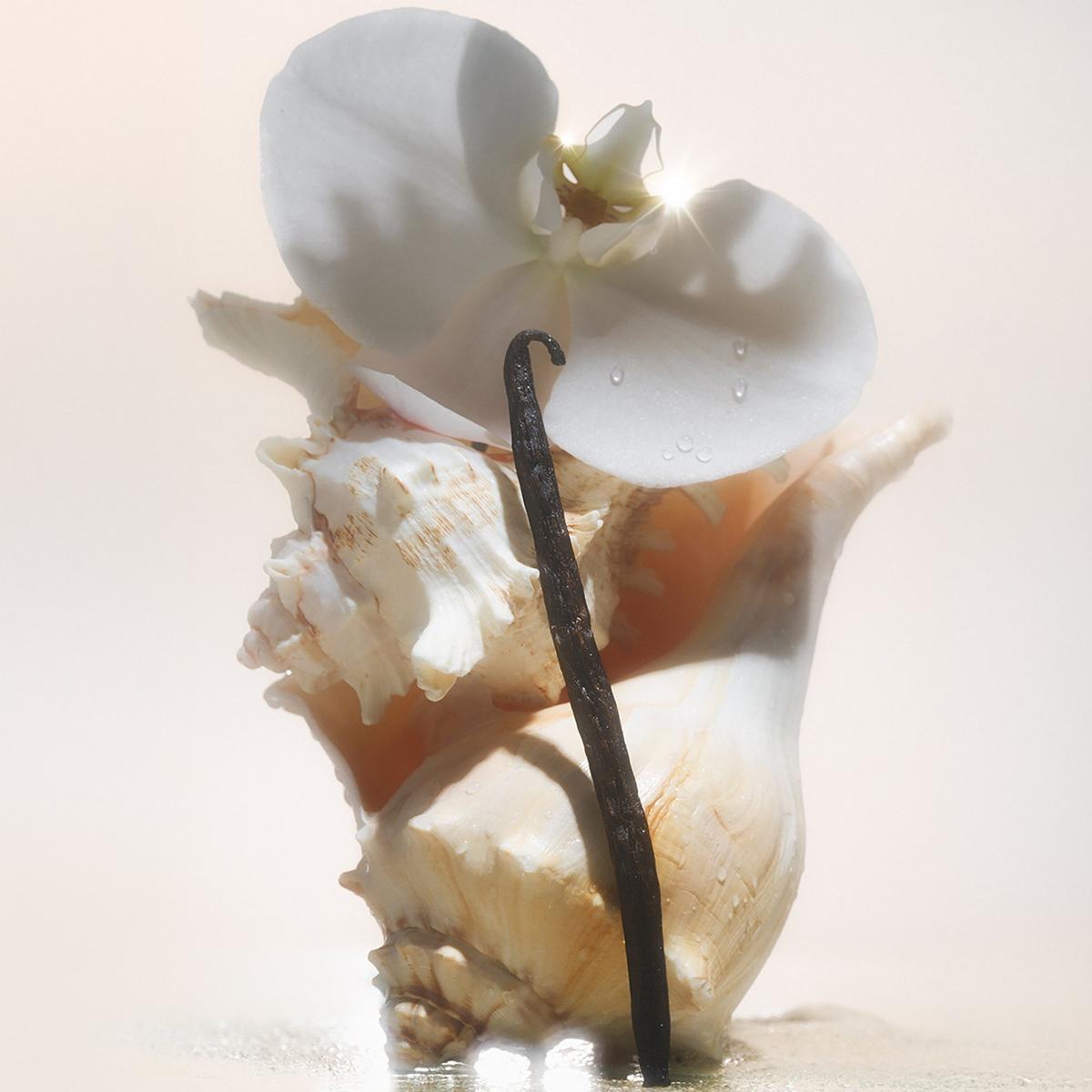 Saltair Body Butter - Salt Water Vanilla